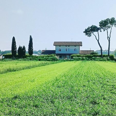 Bed and Breakfast La Ricarda Dimora Di Campagna à Paestum Extérieur photo