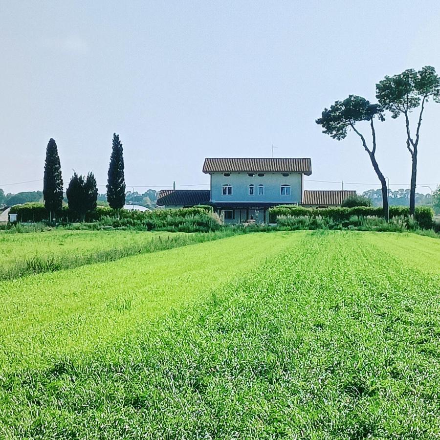 Bed and Breakfast La Ricarda Dimora Di Campagna à Paestum Extérieur photo