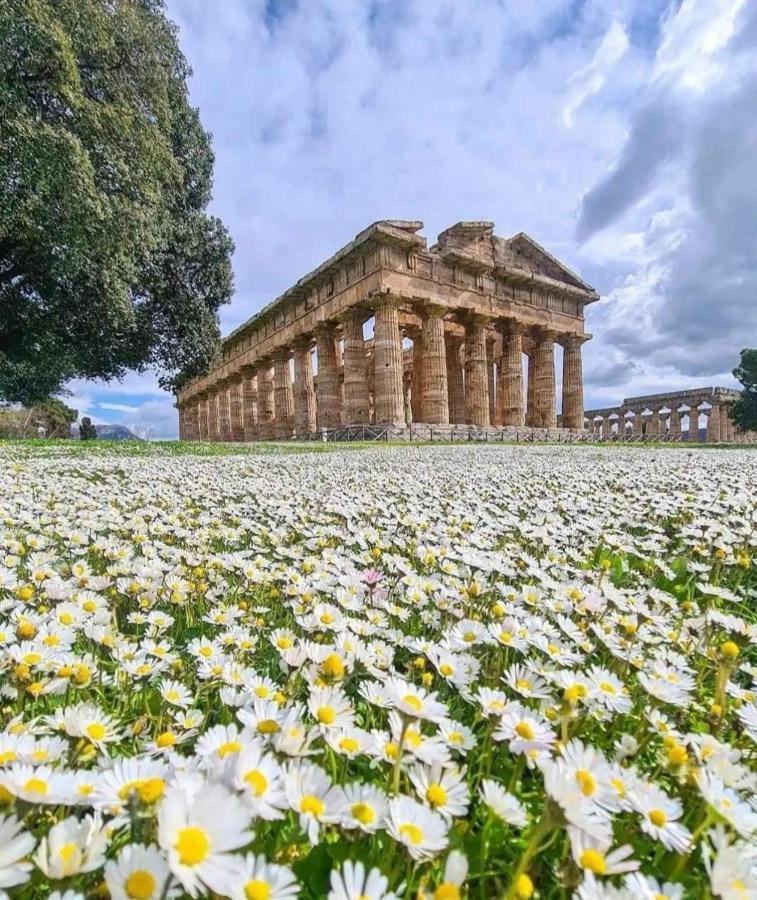 Bed and Breakfast La Ricarda Dimora Di Campagna à Paestum Extérieur photo