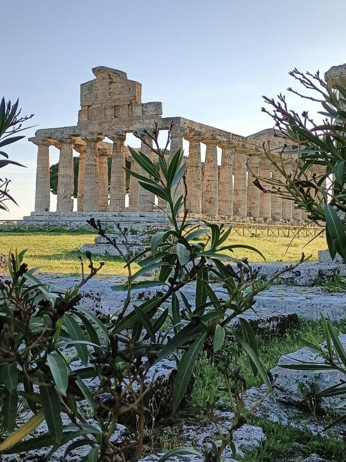 Bed and Breakfast La Ricarda Dimora Di Campagna à Paestum Extérieur photo